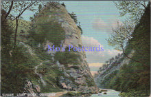 Load image into Gallery viewer, Derbyshire Postcard - Sugar Loaf Rock, Dovedale  SW14391
