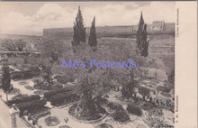 Load image into Gallery viewer, Israel Postcard - Jerusalem, Flortus Gethsemani  DC2205