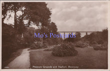 Load image into Gallery viewer, Cornwall Postcard - Newquay Pleasure Grounds and Viaduct  DC2212