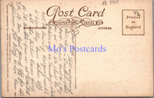 Load image into Gallery viewer, Cornwall Postcard - Newquay Pleasure Grounds and Viaduct  DC2212