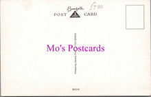 Load image into Gallery viewer, Comic Postcard - Golf Club, Golf Balls, Driving, Rolls Royce SW14611