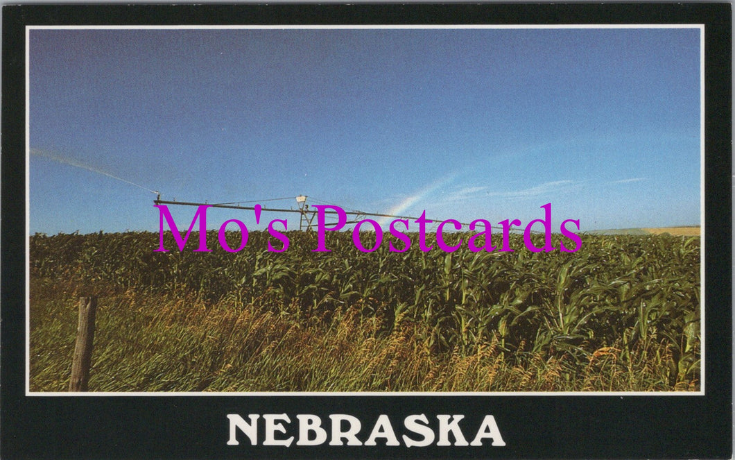 America Postcard - Nebraska. Field of Crops   DZ41