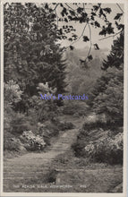 Load image into Gallery viewer, Surrey Postcard - Winkworth, The Azalea Walk SW13829