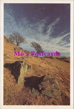 Load image into Gallery viewer, Scotland Postcard - Hawthorn Hill   SW15000