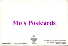 Load image into Gallery viewer, Scotland Postcard - Hawthorn Hill   SW15000