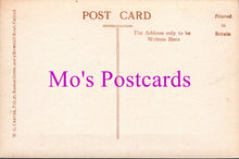 Load image into Gallery viewer, London Postcard - Lewisham Park   SW15323