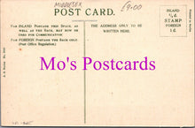 Load image into Gallery viewer, London Postcard - Isleworth, Spring Grove    SW15326