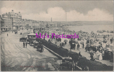 Dorset Postcard - Weymouth, The Esplanade   SW14160