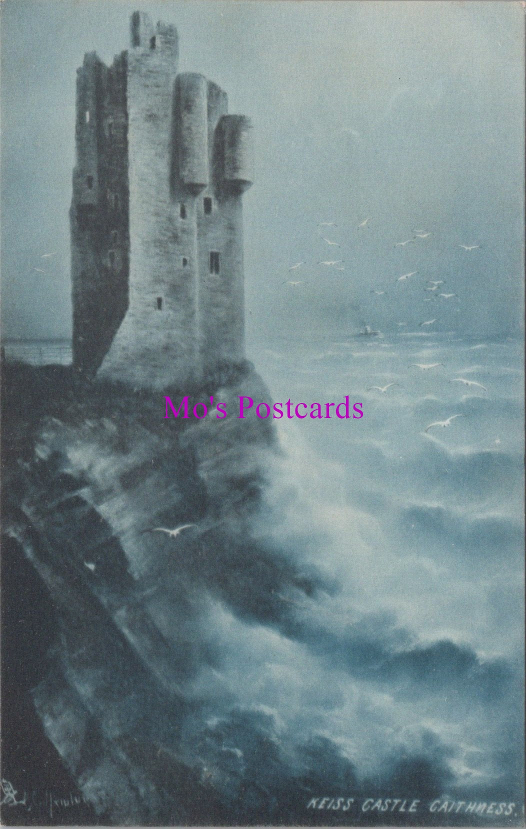 Scotland Postcard - Keiss Castle, Caithness   SW14179