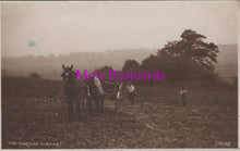 Load image into Gallery viewer, Agriculture Postcard - Carting Turnips  SW14251

