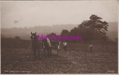 Agriculture Postcard - Carting Turnips  SW14251