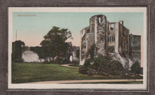 Load image into Gallery viewer, Vintage postcard of Newark Castle ruins with green grass and trees.