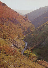 Load image into Gallery viewer, Shropshire Postcard - The Longmynd, Ashes Hollow VT596