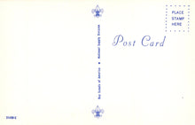 Load image into Gallery viewer, Blank postcard with Boy Scouts of America logo and text