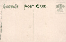 Load image into Gallery viewer, Back of a vintage postcard with 'Litho-Chrome' branding and text.