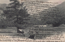 Load image into Gallery viewer, Vintage illustration with text overlay, featuring a landscape with trees and a building.