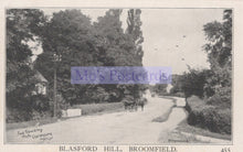 Load image into Gallery viewer, Vintage black and white photograph of a road with trees on either side, labeled 'Blasford Hill, Broomfield'.