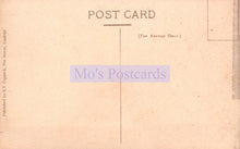 Load image into Gallery viewer, Back of a postcard with 'Mo's Postcards' branding on a beige background