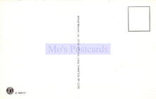 Load image into Gallery viewer, Back of a postcard with 'Mo's Postcards' branding and address information.