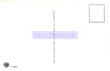 Load image into Gallery viewer, Back of a postcard with 'Mo's Postcards' branding and address information.