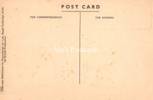 Load image into Gallery viewer, Animals Postcard - Zoological Park, Whipsnade, Bison Hill SW19158