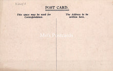 Load image into Gallery viewer, Animals Postcard - Domesticating Zebra, Nairobi  SW19182