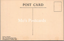 Load image into Gallery viewer, London Postcard - Syon House, The Red Drawing Room  SW17199