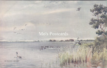 Load image into Gallery viewer, Norfolk Postcard - Birds on Horsey Mere, Norfolk Broads  SW17810