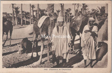 Load image into Gallery viewer, Animals Postcard - Camels, Chameaux Et Chameliers SW17850