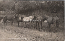 Load image into Gallery viewer, Animals Postcard - Five Dartmoor Ponies SW17851