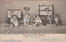 Load image into Gallery viewer, Animals Postcard - Cats, The Belles of The Kitchen SW17889