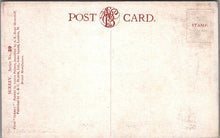 Load image into Gallery viewer, Surrey Postcard - A Stream Near Shalford SW18313