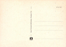 Load image into Gallery viewer, Germany Postcard - Viele Grusse Aus Nurnberg SW18963