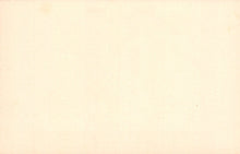 Load image into Gallery viewer, Solid light beige color swatch