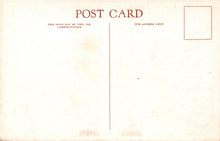 Load image into Gallery viewer, Back of a postcard with 'POST CARD' text and a blank area for writing address.