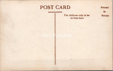 Load image into Gallery viewer, Staffordshire Postcard - Conservatory, West Park, Wolverhampton   SX210