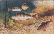 Load image into Gallery viewer, Animals Postcard - Fish Swimming, Artist C.T.Howard    SX147