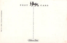 Load image into Gallery viewer, Cornwall Postcard - Padstow Harbour VT556