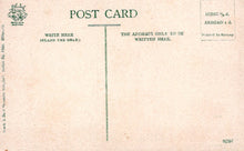 Load image into Gallery viewer, Devon Postcard - Westward Ho Village SW18151