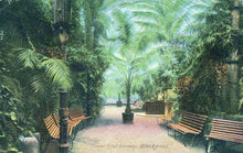 Load image into Gallery viewer, Lancashire Postcard - Blackpool, Tower Roof Gardens   SW18161