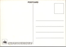 Load image into Gallery viewer, South Africa Postcard - Durban Harbour in The 1890's - SW17657