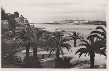 Load image into Gallery viewer, Vintage black and white photo of a coastal scene with palm trees and buildings.