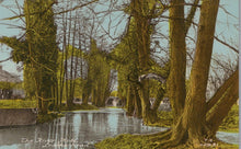 Load image into Gallery viewer, Surrey Postcard - The River Mole, Leatherhead SW19312