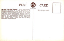 Load image into Gallery viewer, Back of a postcard with text about the oak tree and branding details.