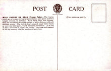 Load image into Gallery viewer, Vintage postcard with text and a logo on a white background