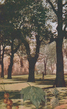 Load image into Gallery viewer, Park scene with trees and a building in the background