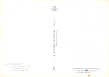 Load image into Gallery viewer, Text on a white background with a subtle gradient