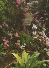 Load image into Gallery viewer, Tropical plants with pink and white flowers in a lush garden setting