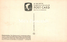 Load image into Gallery viewer, Animals Postcard - Birds, The Oystercatcher SW19342