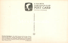 Load image into Gallery viewer, Salmon Cameracolour postcard with text and logo on a light background